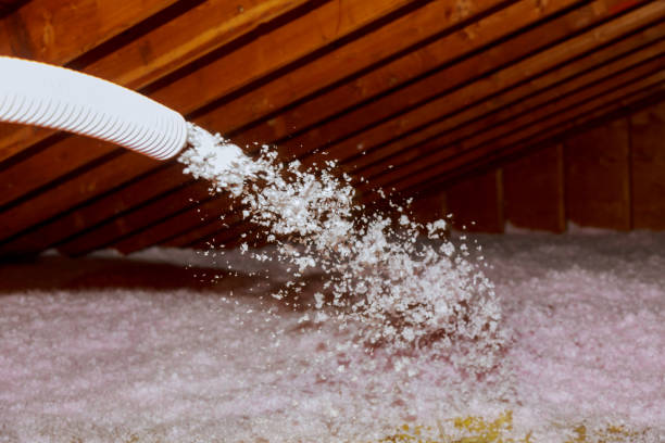 Best DIY Insulation Kits and Guidance in Lewisburg, OH