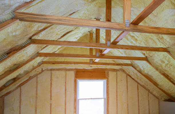 Best Cellulose Insulation in Lewisburg, OH